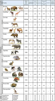 Mycobacterium avium Subspecies paratuberculosis Infection in Zoo Animals: A Review of Susceptibility and Disease Process